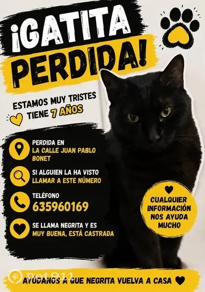 Perdido gato hembra, Calle de Juan Pablo Bonet, 14, Zaragoza - gata negra castrada - photo