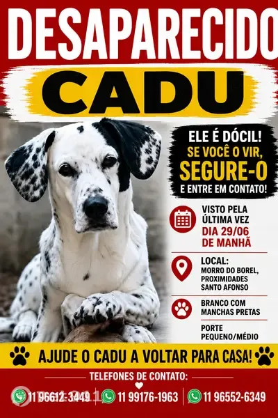 Perdido cachorro macho, Avenida Cupecê, São Paulo - photo