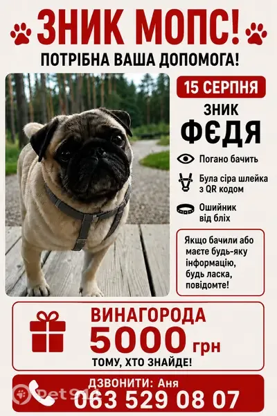 Зникла собака, Губернаторська вулиця, Пірнівська сільська громада, Жукин — бежевий, погано бачить - photo