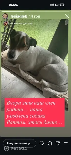Зникла собака, Сонячна вулиця, Загвіздя - photo