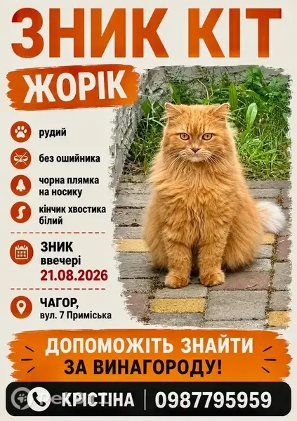 Зникла кішка, 7-ма Приміська вулиця, Чагор — рудий, без ошийника, чорна плямка на носику - photo