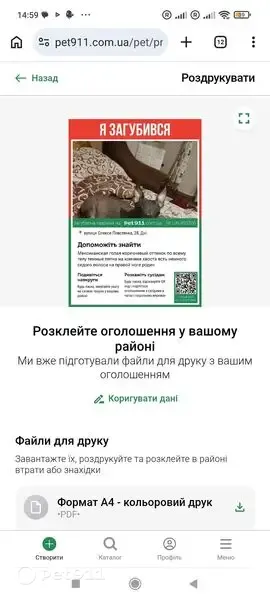 Зникла собака, вулиця Олекси Повстенка, 34, Дніпро — мексиканська гола, темно-коричневий окрас - photo