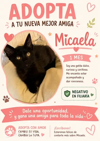 Encontrado gato hembra, Parque Franchy y Roca, 16, Telde - photo