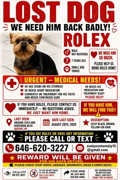 Lost dog, 153rd Street, 33-51, Queens — male, with medical needs - photo