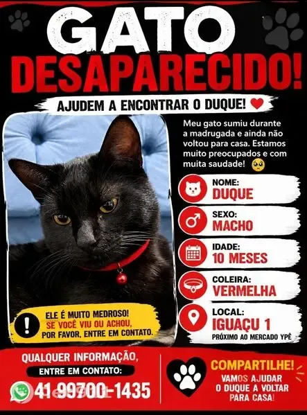 Perdido gato macho, Rua Rio Madeira, 658 — preto, 10 meses, coleira vermelha - photo
