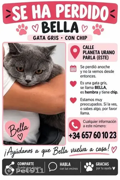 Gato perdido, Parla (sl497486) - photo