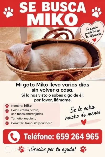 Gato perdido macho, Calle Pensamiento, Mairena del Aljarafe, Sevilla — responde a Miko y tiene ojos azules - photo
