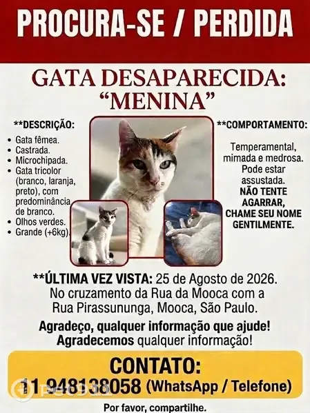Gato perdido, Rua da Mooca, 4969, São Paulo — fêmea medrosa e arisca - photo