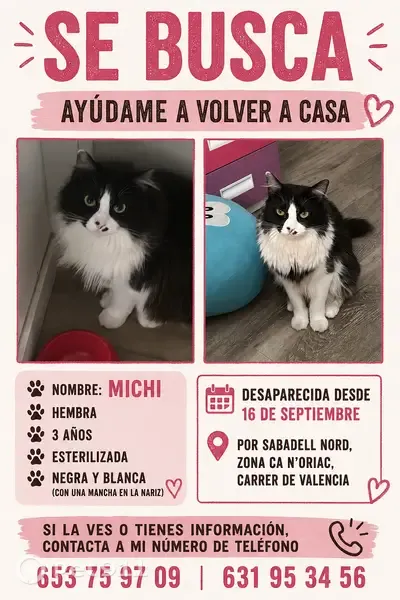 Gato perdido, Carrer de València, Sabadell, Barcelona — mancha negra en forma de corazón en el pecho - photo