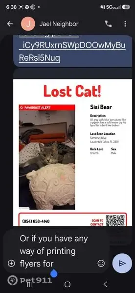 Lost cat, male, Somerset Drive, Lauderdale Lakes - photo