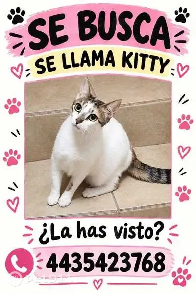 Gato perdido, Calle Paseo Esmeralda, 14, Morelia — hembra de ojos verdes - photo