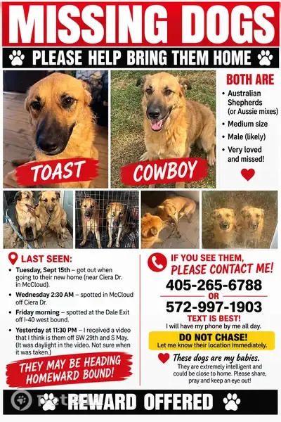 Lost dog, McLoud, Oklahoma, Tulsa — male German Shepherd mix - photo
