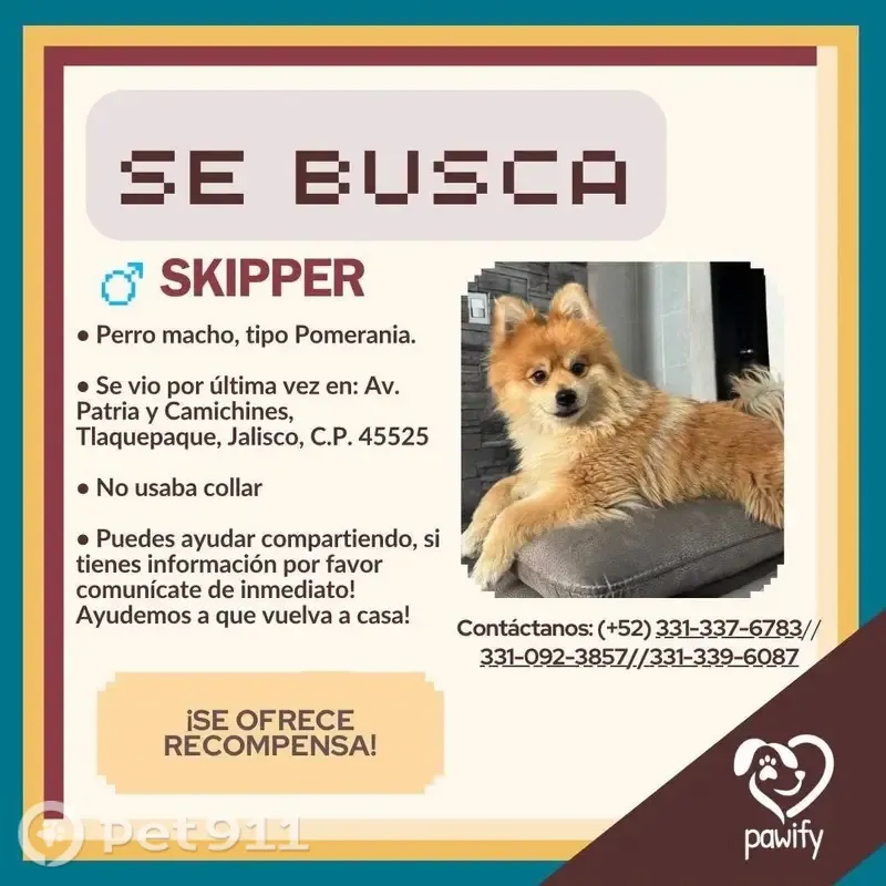 Perro perdido, Avenida Real Camichines, 210, San Pedro Tlaquepaque, Tlaquepaque — Pomeranian café - photo