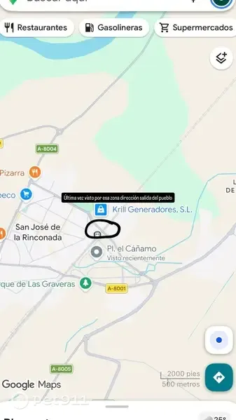 Perro perdido, Calle James Watt, 710, La Rinconada - photo