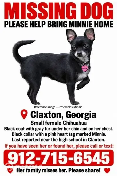 Missing dog Female, Claxton (usl549841) - photo