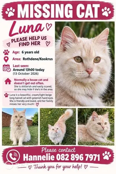 Lost cat, Meyerton, Johannesburg — 6-year-old fluffy cream female - photo