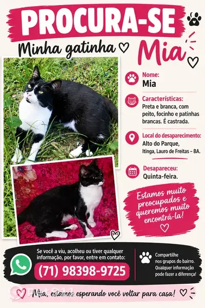Gato perdido, Rua Alto do Parque, 630 — gatinha muito dócil - photo