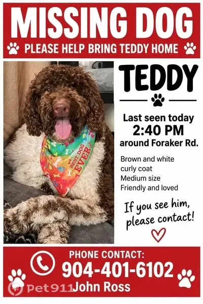 Lost male dog, Fouraker Road, Jacksonville, Orlando — brown and white with brown spots on legs - photo