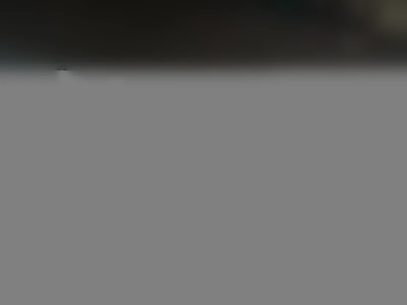 Lost cat, Ute Trail, Harker Heights - male bombay with scar - photo