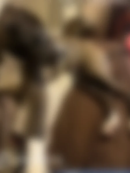 Lost dog, male, Woodhill Road, Cleveland - friendly St. Bernard/pit mix - photo