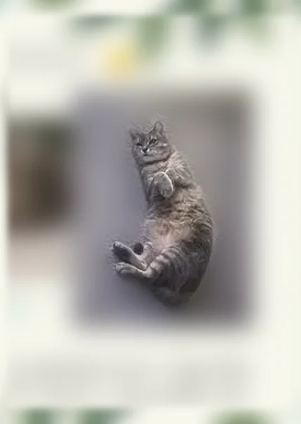 Perdu chat femelle, Rue Féronne, 382, Bailleul-sur-Thérain - chatte européenne tigrée grise - photo