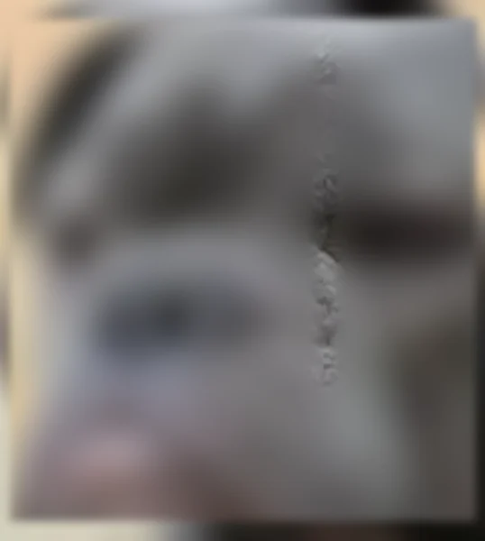 Lost dog, Delaware Street, 14981, Adelanto, Ontario - male, grey coat - photo