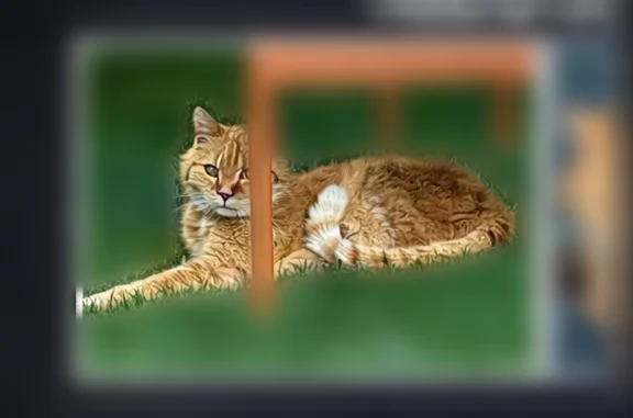 Animaux perdus Vandœuvre-lès-Nancy, photo: Chat perdu, Impasse des Jardins, Jarville-la-Malgrange, Vandœuvre-lès-Nancy - femelle rousse tatouée à l'oreille