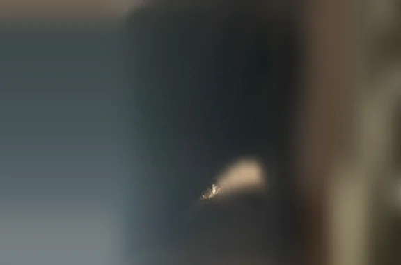 Chat perdu mâle, Rue Manet, 15, Sedan, Paris - gris chartreux, yeux verts et jaunes - photo