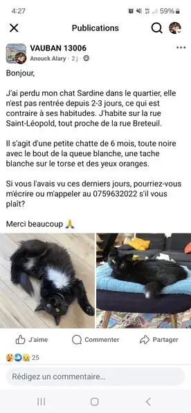 Chatte noire Monique perdue à Paris 20e | Pet911.fr