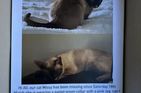 Missing cat, Melbourne