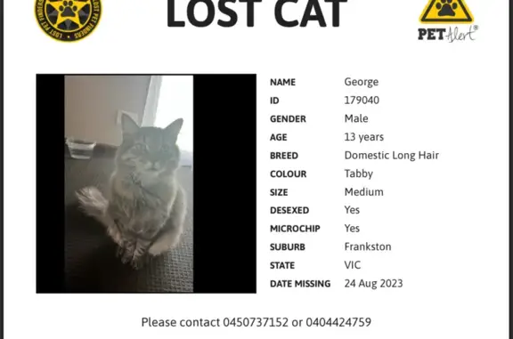 Lost Cat Alert: Help Find Our Beloved Boy!