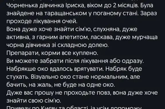 Допоможіть знайти дім для маленької чорненької кішки Іриски!