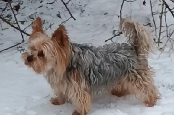 Зник Йорк у Харкові! Вул. Басейна, 70