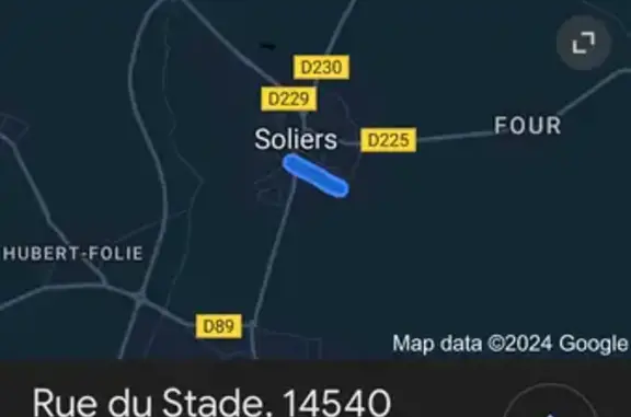 Chiot aveugle retrouvé à Soliers - photo