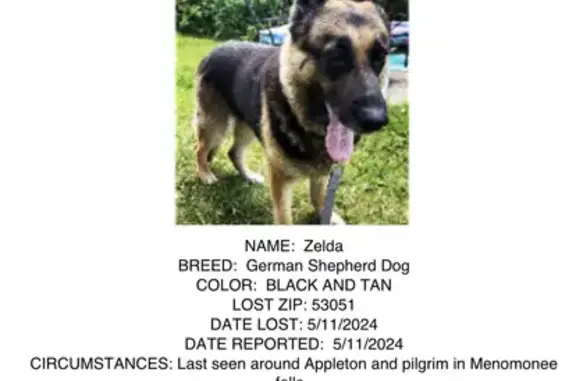 Lost German Shepherd - Robinhood Dr, Menomonee!