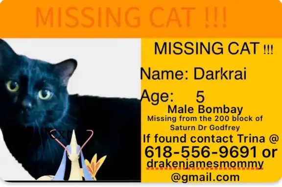 Missing cat, Godfrey