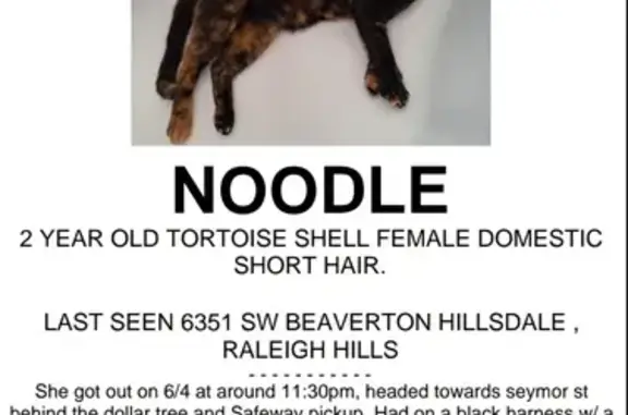 Lost Cat Alert! SW Beaverton - Help Us Find Her!
