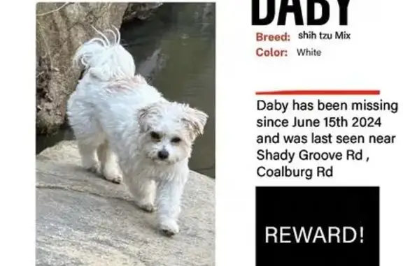 Missing Dog: 3105 Tina Ave, Birmingham AL