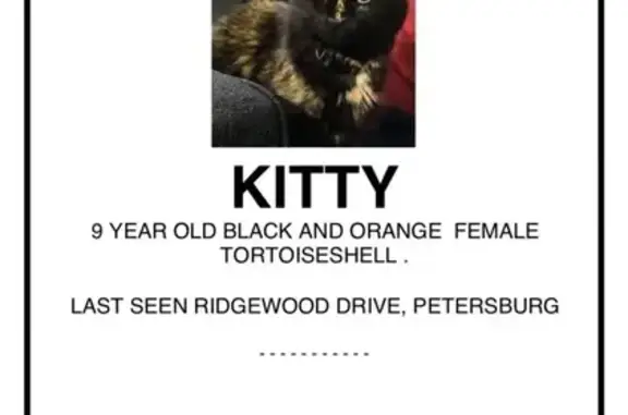 Missing Tortoiseshell Cat on Ridgewood Dr