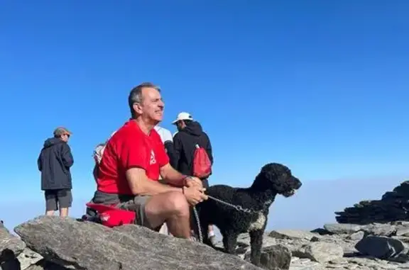 Perro de Agua Negro Perdido en Concierto Nil Moliner