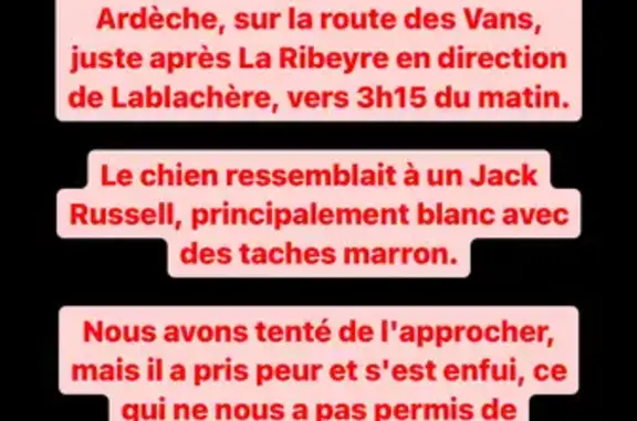 Chien Jack Russell perdu en Ardèche - photo