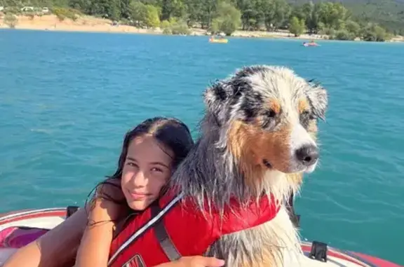Chien perdu Fréjus, photo : Chien perdu à l'embouchure de l'Argens