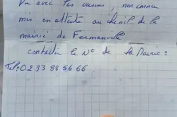 Animaux trouvés Fermanville, photo: Chien mâle noir trouvé à Fermanville