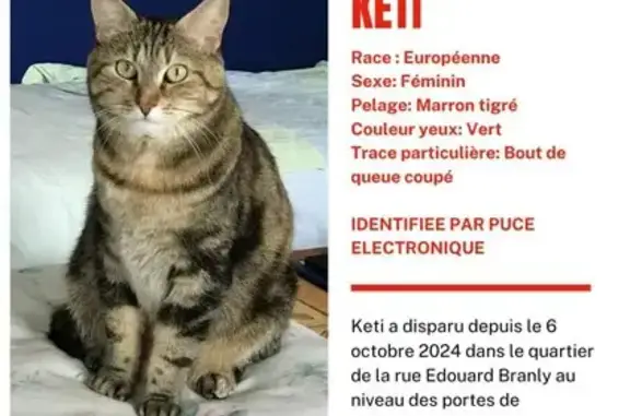 Animaux perdus Montreuil, photo: Chat perdu, queue coupée, Montreuil