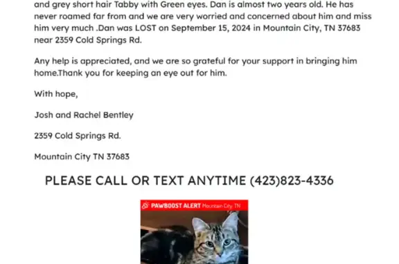 Lost Cat on Cold Springs Rd, 2359