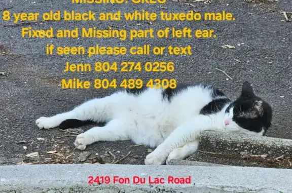 Missing Tuxedo Cat: Fon Du Lac Rd, Richmond