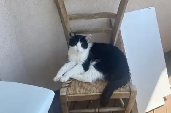 Chat perdu, Saint-Marcel, photo: Chat disparu à Saint-Marcel : Aidez-nous !