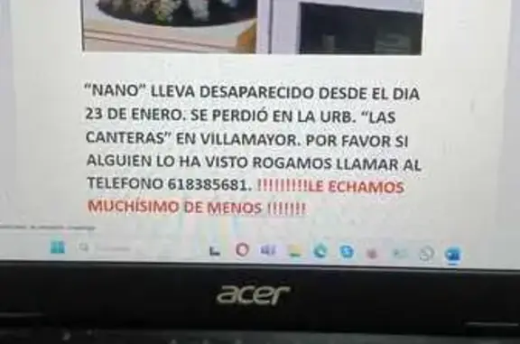 ¡Ayuda! Gato atigrado perdido en Villares