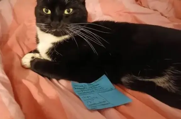 Chaussette perdue à Morlaix, contactez-nous ! - photo