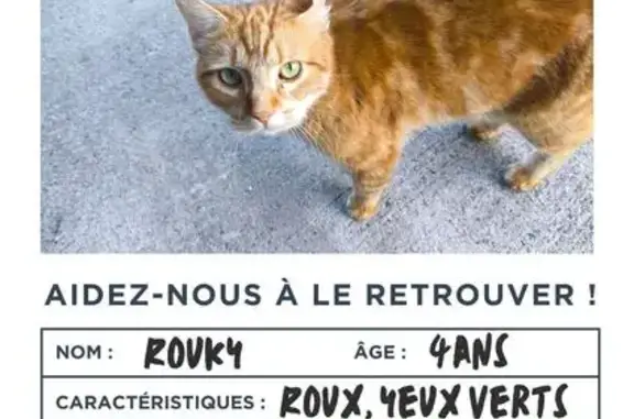 Animaux perdus Toulouse, photo: Chat roux perdu secteur Lalande-Aucamville